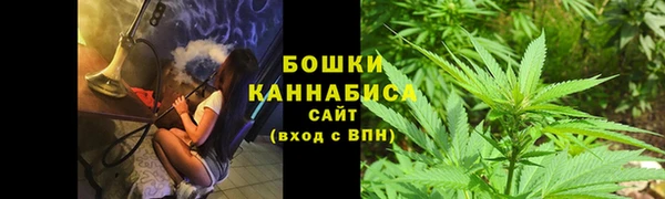 2c-b Пестово