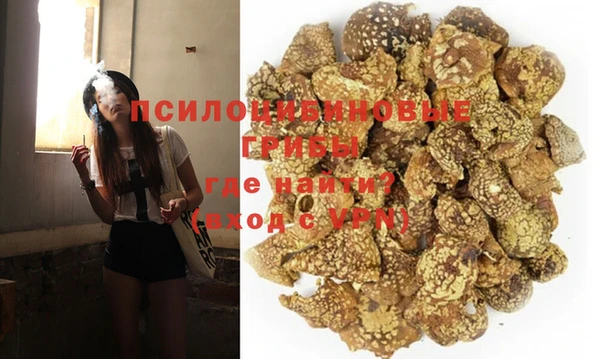 2c-b Пестово