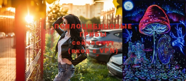 2c-b Пестово