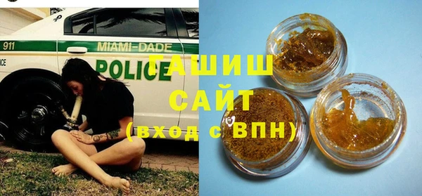 2c-b Пестово