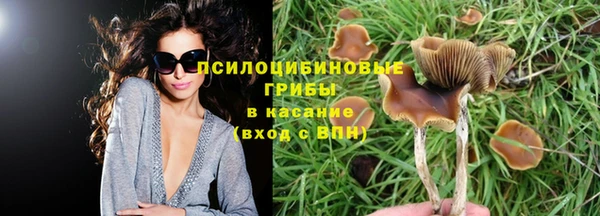 PSILOCYBIN Переславль-Залесский