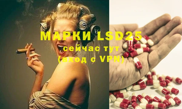 PSILOCYBIN Переславль-Залесский