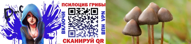 Купить где  Афипский  Псилоцибиновые грибы мухоморы 
